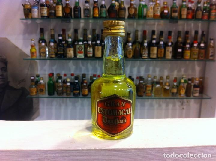 Sammlung von Weinen und Lik&ouml;ren: BOTELL&Iacute;N (GRAN ESTOMACAL DON JUAN) DESTILER&Iacute;AS MONTARA, PINEDA DE MAR. ALTURA: 10CM