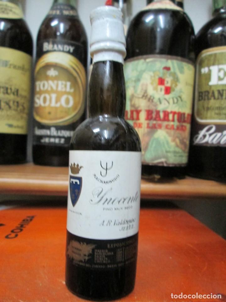 Coleccionismo de vinos y licores: ANTIGUO BOTELLIN BRANDY CO&Ntilde;AC, MACHARMUNDO INOCENTE FINO MUY SECO DE VALDESPINO 13 CM ALTURA