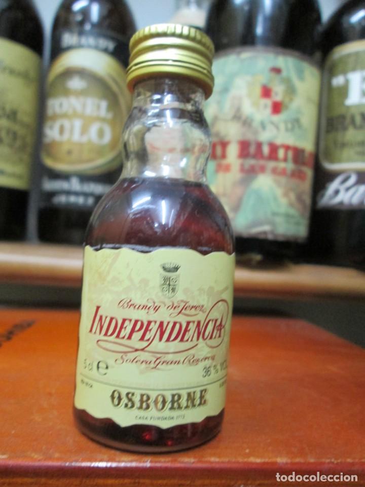 Coleccionismo de vinos y licores: ANTIGUO BOTELLIN BRANDY CO&Ntilde;AC, INDEPENDENCIA DE OSBORNE 11 CM ALTURA