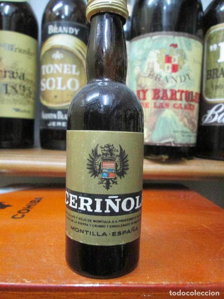 Coleccionismo de vinos y licores: ANTIGUO BOTELLIN BRANDY CO&Ntilde;AC, CERI&Ntilde;OL MONTILLA ESPA&Ntilde;A 11 CM ALTURA