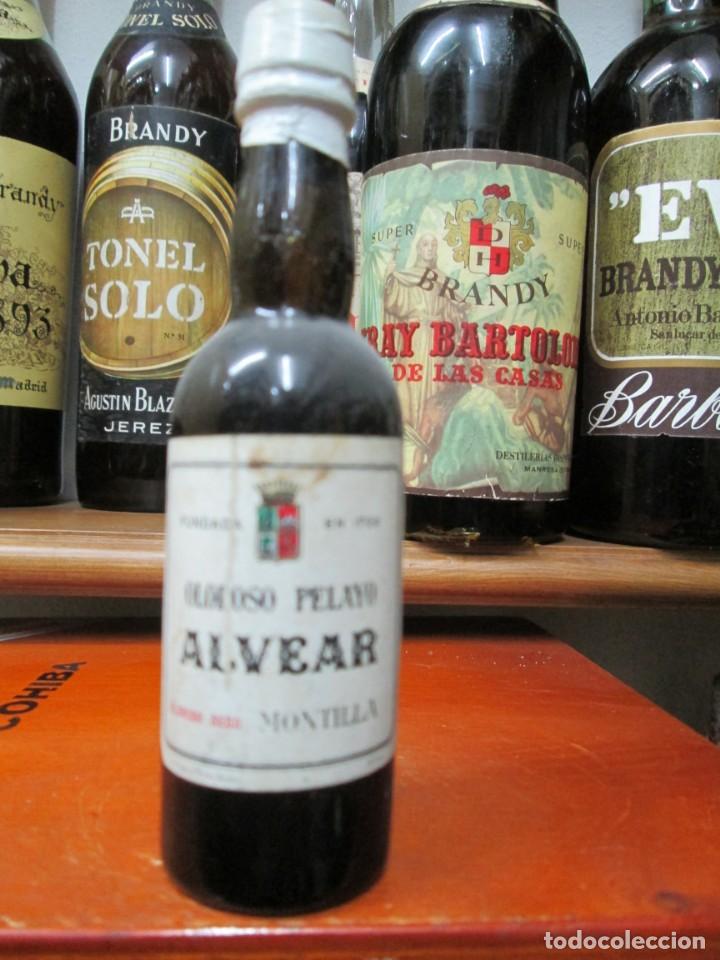 Coleccionismo de vinos y licores: ANTIGUO BOTELLIN BRANDY CO&Ntilde;AC,OLOROSO PELAYO ALVEAR, MONTILLA 12 CM ALTURA