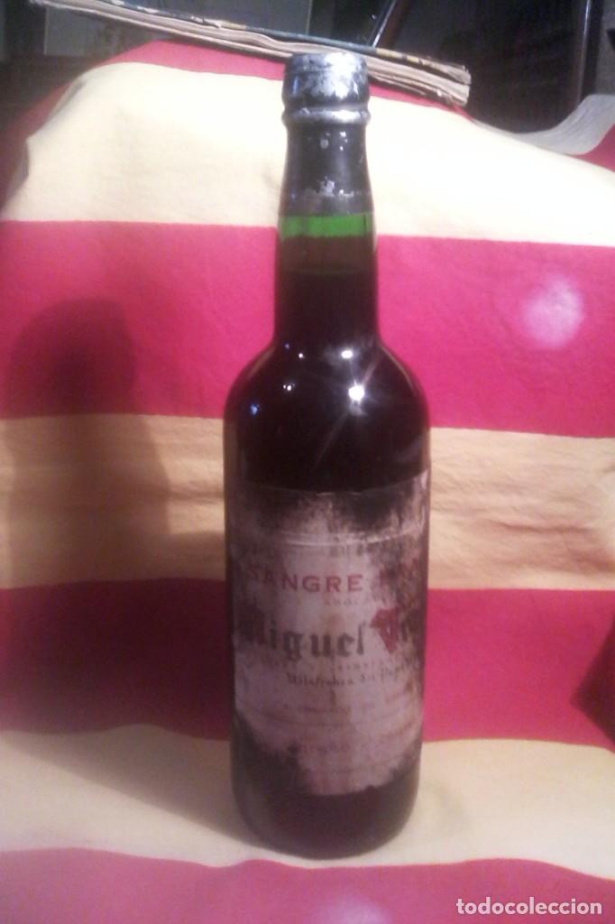 Coleccionismo de vinos y licores: SANGRE BRAVA - MIGUEL TORRES 1981 .