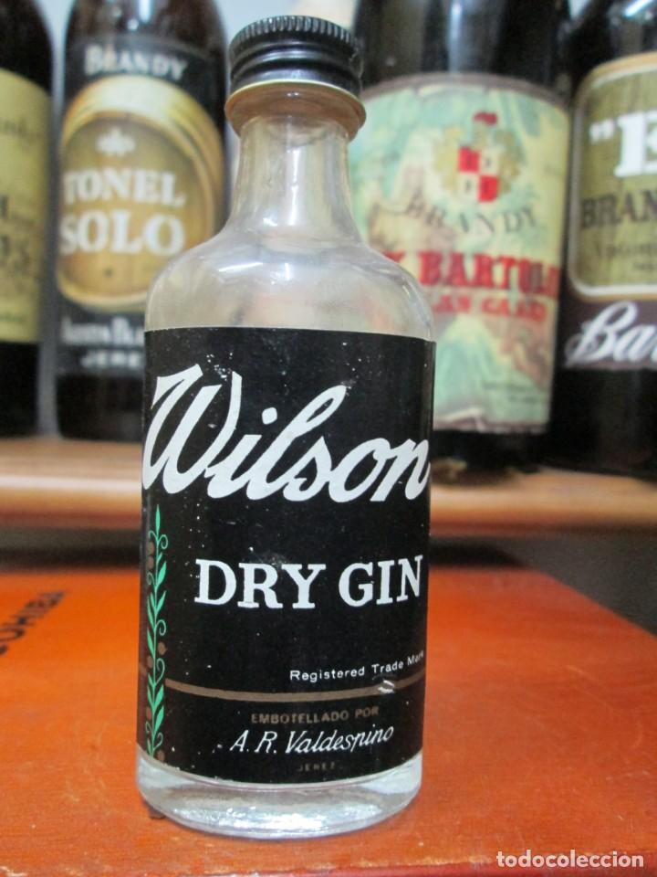 Coleccionismo de vinos y licores: ANTIGUO BOTELLIN BRANDY CO&Ntilde;AC, WILSON DRY GIN VALDESPINO 11 CM