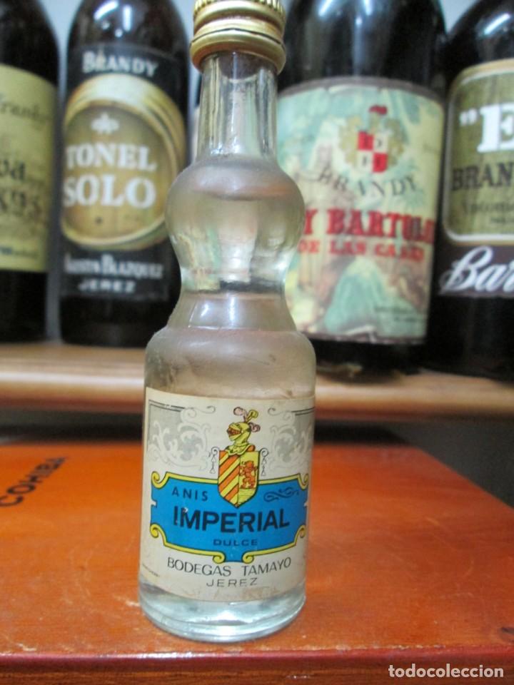 Coleccionismo de vinos y licores: ANTIGUO BOTELLIN BRANDY CO&Ntilde;AC, ANIS IMPERIAL DULCE DE BODEGAS TAMAYO, 12 CM