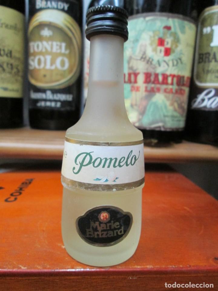 Coleccionismo de vinos y licores: ANTIGUO BOTELLIN BRANDY CO&Ntilde;AC, POMELO DE MARIE BRIZARD 11 CM