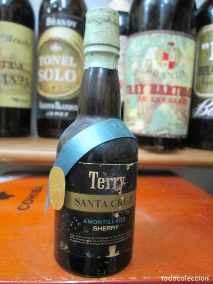 Coleccionismo de vinos y licores: ANTIGUO BOTELLIN BRANDY CO&Ntilde;AC, TERRY SANTA CRUZ AMONTILLADO SHERRY