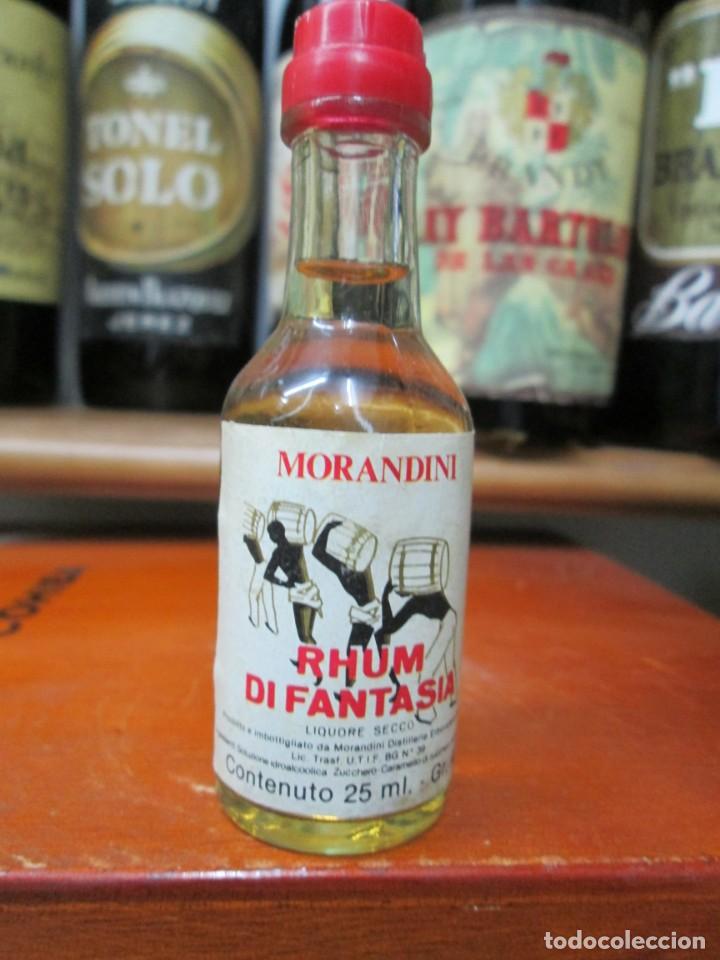 Coleccionismo de vinos y licores: ANTIGUO BOTELLIN BRANDY CO&Ntilde;AC, MORANDINI RHUN DI FANTASIA
