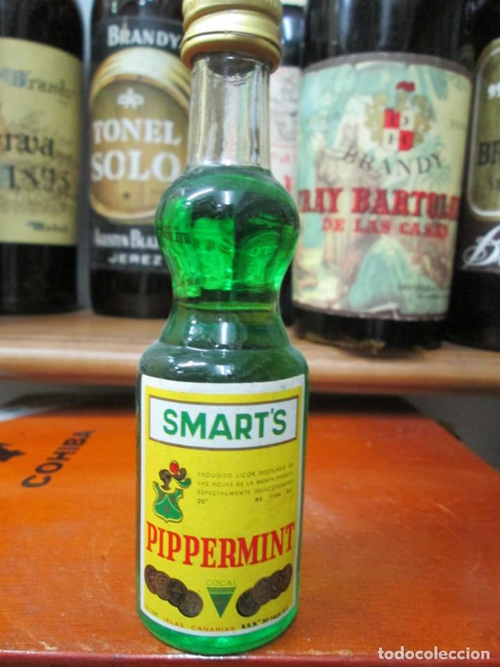 Coleccionismo de vinos y licores: ANTIGUO BOTELLIN BRANDY CO&Ntilde;AC,SMART&acute;S PIPPERMINT