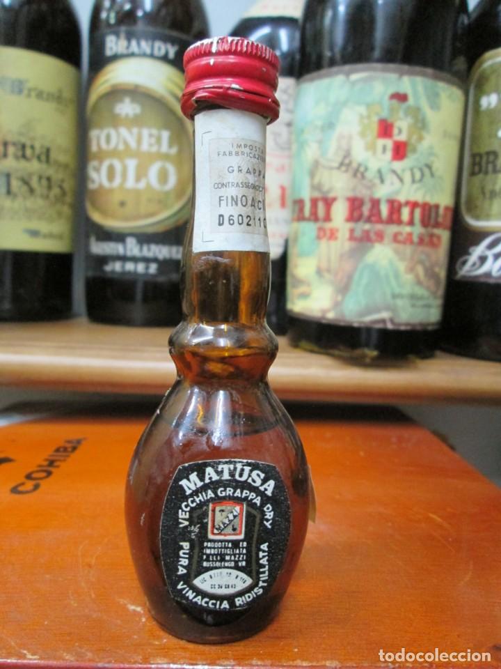 Coleccionismo de vinos y licores: ANTIGUO BOTELLIN BRANDY CO&Ntilde;AC, MATUSA GRAPA
