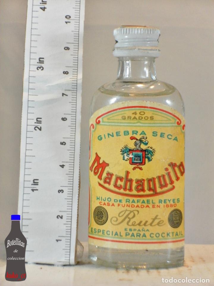 Coleccionismo de vinos y licores: BOTELLITA BOTELLIN GINEBRA SECA MACHAQUITO HIJO DE RAFAEL REYES RUTE ESPA&Ntilde;A