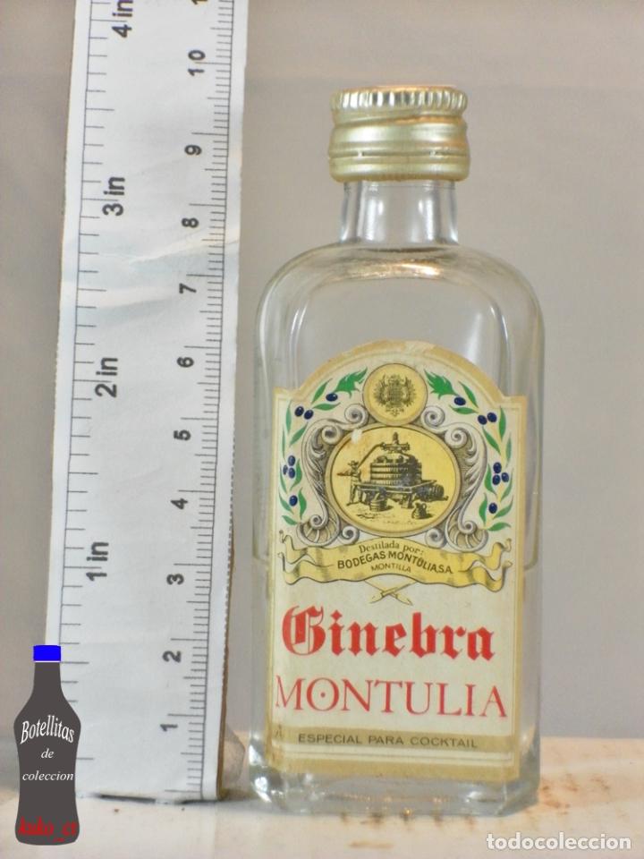 Coleccionismo de vinos y licores: BOTELLITA BOTELLIN GINEBRA MONTULIA BODEGAS MONTULIA S.A.