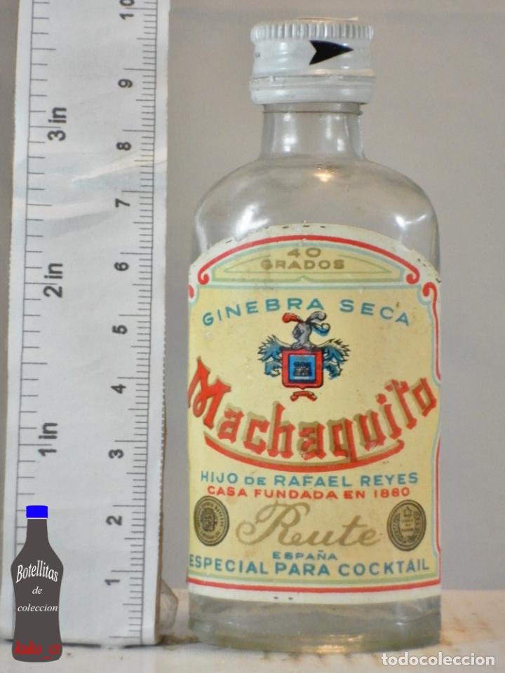 Coleccionismo de vinos y licores: BOTELLITA BOTELLIN GINEBRA SECA MACHAQUITO HIJO DE RAFAEL REYES RUTE ESPA&Ntilde;A
