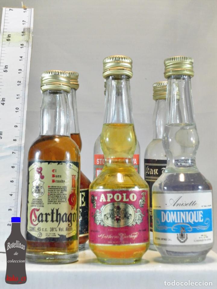 Sammlung von Weinen und Lik&ouml;ren: BOTELLITA BOTELLIN LOTE DE 6 BOTELLINES DESTILERIAS CARTHAGO TORRE PACHECO