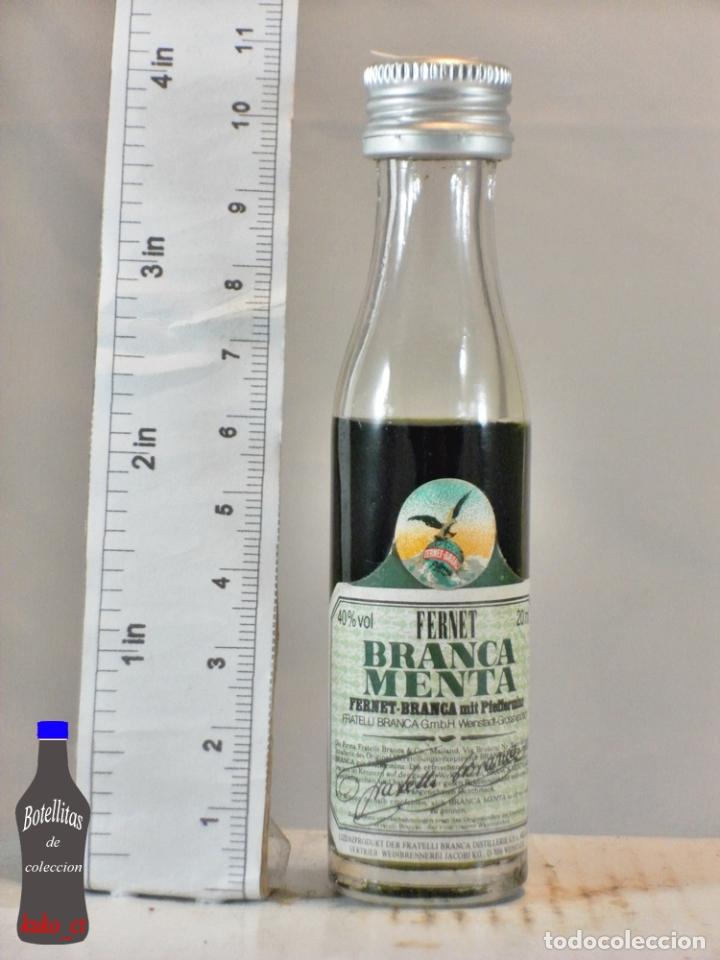 Sammlung von Weinen und Lik&ouml;ren: BOTELLITA BOTELLIN FERNET BRANCA MENTA ALEMANIA