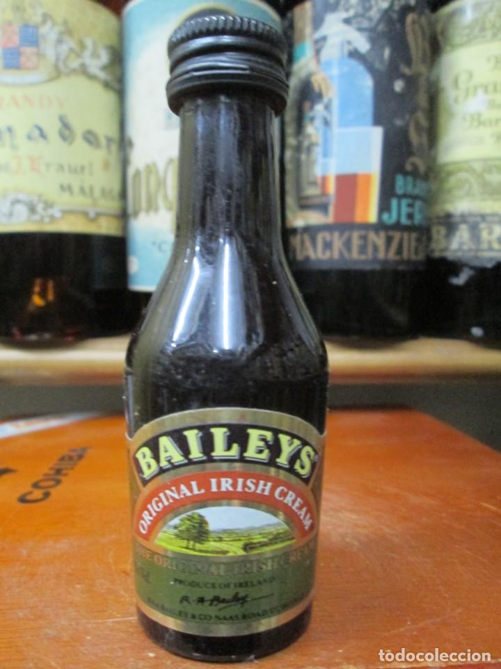 Sammlung von Weinen und Lik&ouml;ren: ANTIGUO BOTELLIN ,BAILEYS ORIGINAL IRISH CREAM
