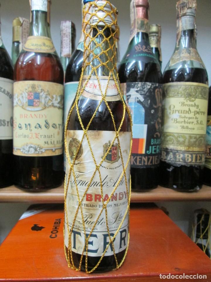Coleccionismo de vinos y licores: ANTIGUA BOTELLA BRANDY CO&Ntilde;AC, CENTENARIO TERRY DE 1/2 LITRO, IMPUESTO DE 2 PTS. DECADA 60-70