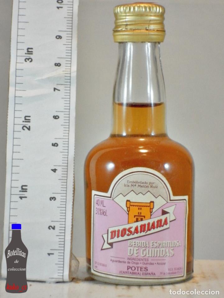 Sammlung von Weinen und Lik&ouml;ren: BOTELLITA BOTELLIN DIOSANJANA BEBIDA ESPIRITUOSA DE GUINDAS POTES CANTABRIA