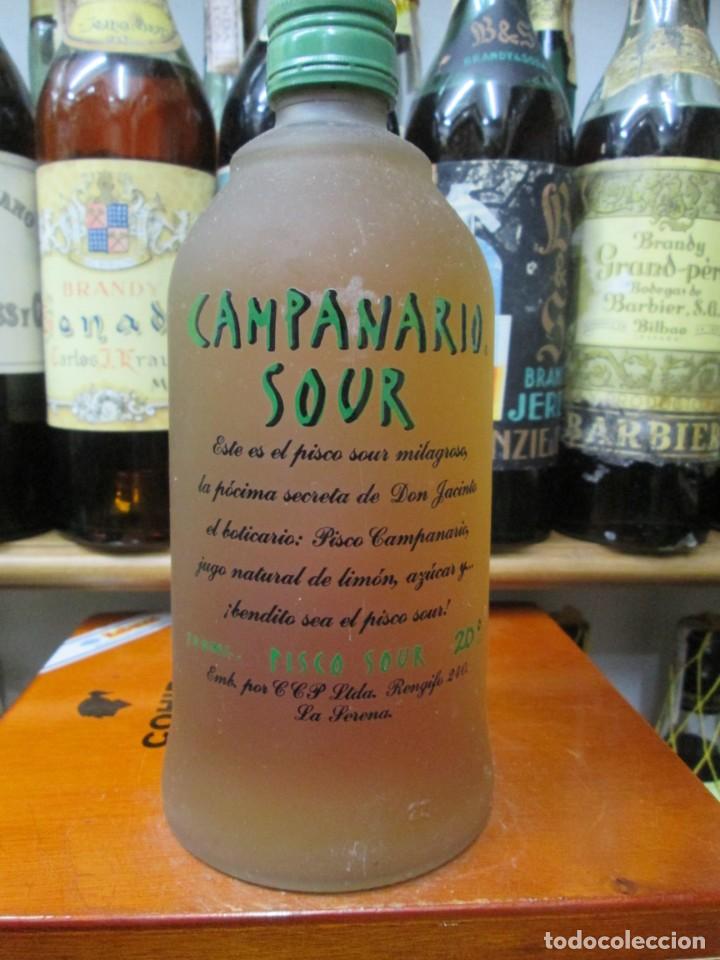 Sammlung von Weinen und Lik&ouml;ren: ANTIGUA BOTELLA, LICOR CAMPANARIO SOUR