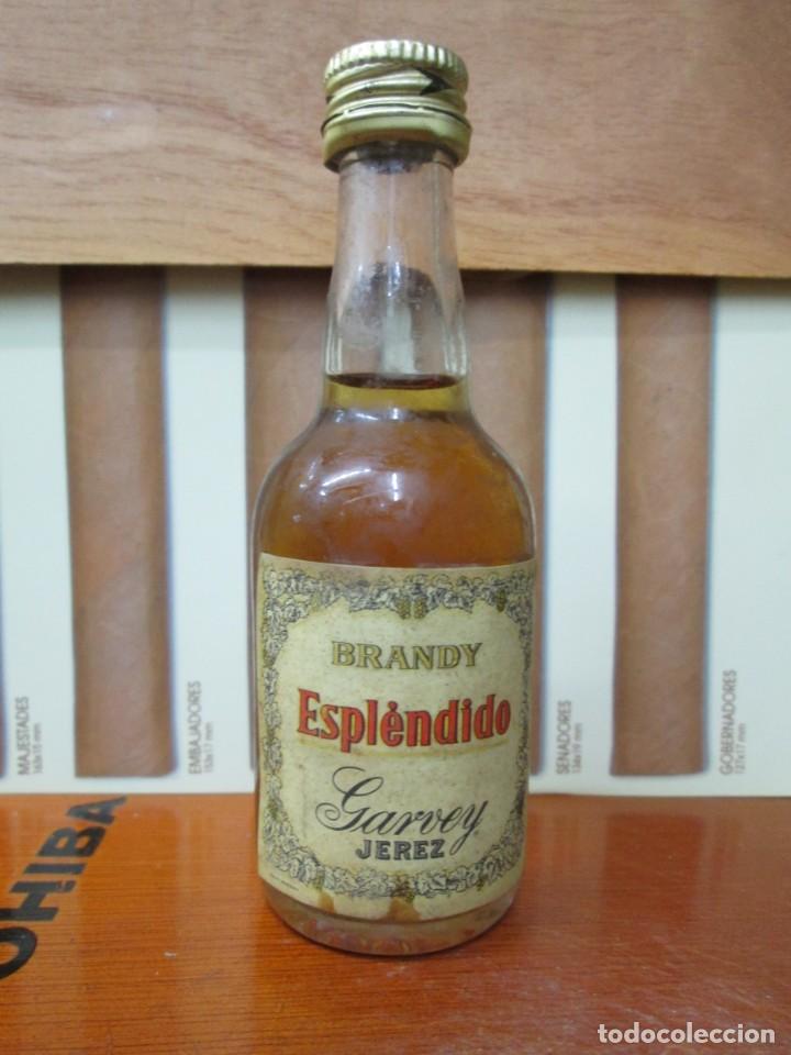 Coleccionismo de vinos y licores: ANTIGUO BOTELLIN BRANDY ESPLENDIDO DE GARVEY