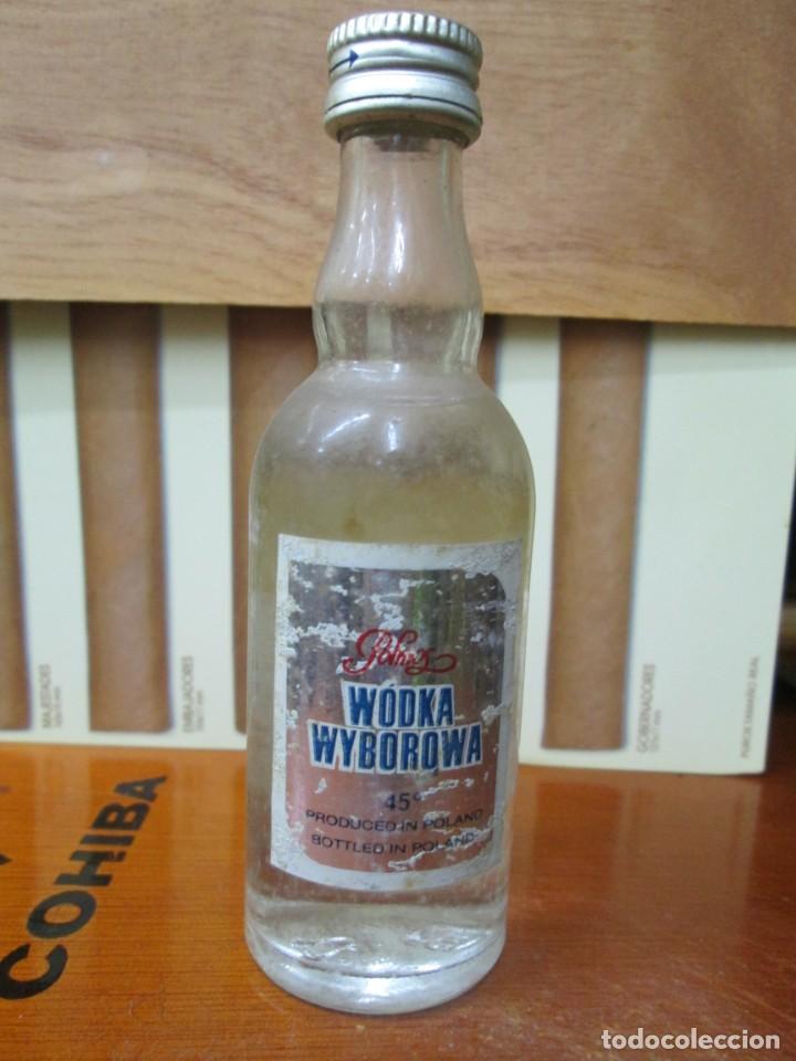 Sammlung von Weinen und Lik&ouml;ren: ANTIGUO BOTELLIN,WODKA WYBOROWA
