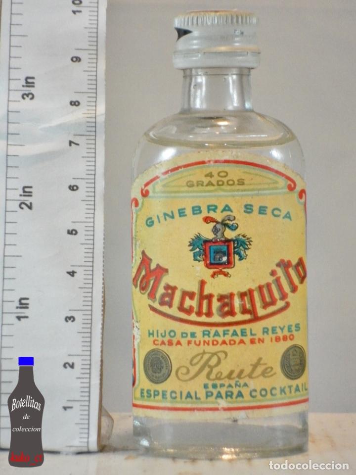 Coleccionismo de vinos y licores: BOTELLITA BOTELLIN GINEBRA SECA MACHAQUITO HIJO DE RAFAEL REYES RUTE ESPA&Ntilde;A