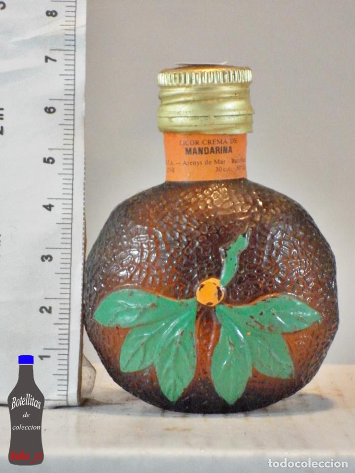 Sammlung von Weinen und Lik&ouml;ren: BOTELLITA BOTELLIN CREMA DE MANDARINA DESTILERIAS MOLLFULLEDA S.A. ARENYS DE MAR ESPA&Ntilde;A