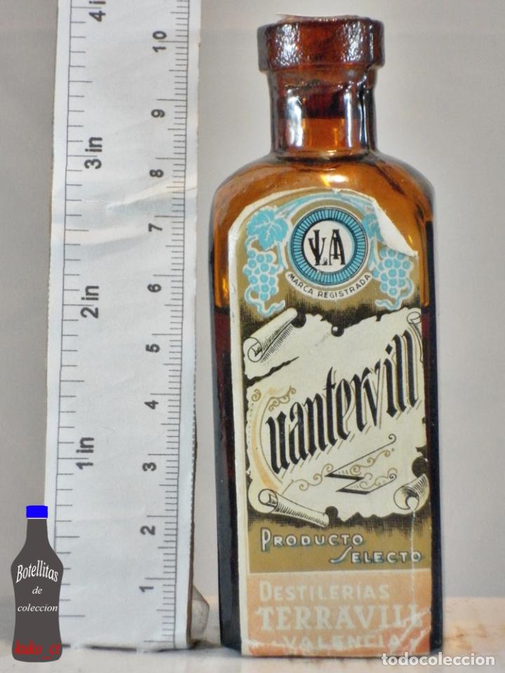 Sammlung von Weinen und Lik&ouml;ren: BOTELLITA BOTELLIN CUANTERVILL DESTILERIAS TERRAVILL VALENCIA