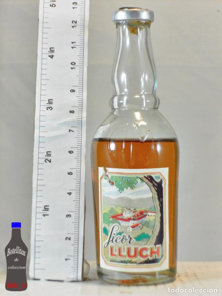 Coleccionismo de vinos y licores: BOTELLITA BOTELLIN LICOR LLUCH DESTILERIAS MOREY LLUCH MALLORCA