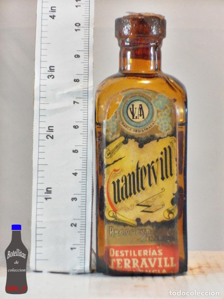 Sammlung von Weinen und Lik&ouml;ren: BOTELLITA BOTELLIN CUANTERVILL DESTILERIAS TERRAVILL VALENCIA