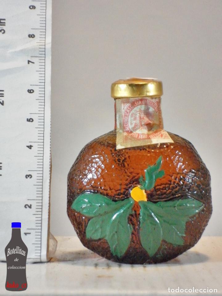 Collection of wines and liquors: BOTELLITA BOTELLIN CREMA DE MANDARINA DESTILERIAS MOLLFULLEDA S.A. ARENYS DE MAR ESPA&Ntilde;A