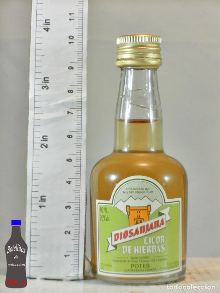 Coleccionismo de vinos y licores: BOTELLITA BOTELLIN DIOSANJANA LICOR DE HIERBAS ORUJO IRIS M&ordf; MELON RUIZ POTES CANTABRIA