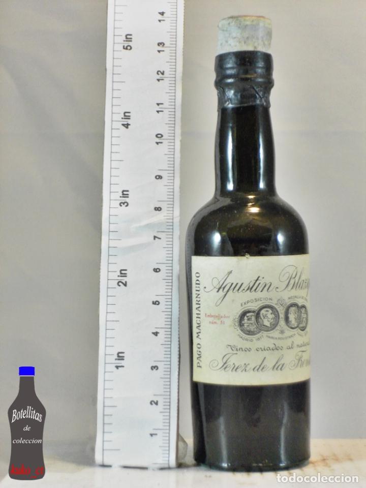 Sammlung von Weinen und Lik&ouml;ren: BOTELLITA BOTELLIN PAGO MACHARNUDO AGUSTIN BLAZQUEZ JEREZ DE LA FRONTERA