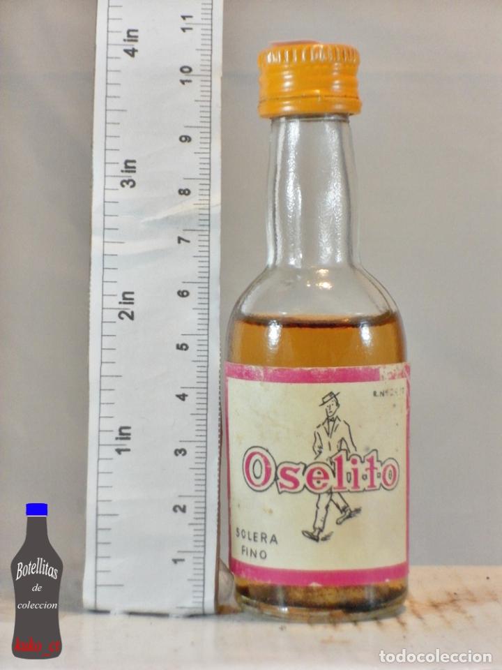 Sammlung von Weinen und Lik&ouml;ren: BOTELLITA BOTELLIN VINO SOLERA FINO OSELITO BODEGAS AYALA ALICANTE