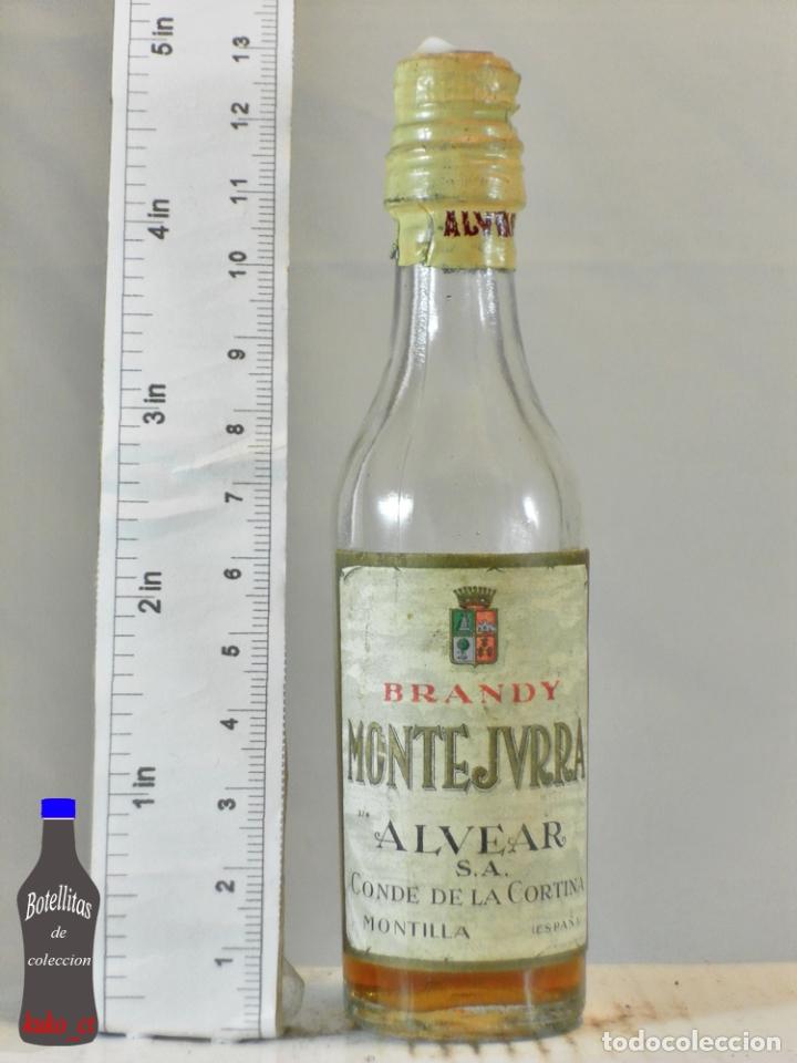 Coleccionismo de vinos y licores: BOTELLITA BOTELLIN BRANDY MONTEJURRA ALVEAR CONDE DE LA CORTINA MONTILLA ESPA&Ntilde;A