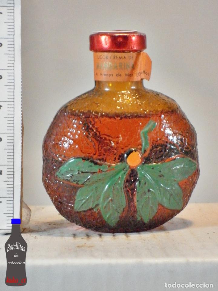 Sammlung von Weinen und Lik&ouml;ren: BOTELLITA BOTELLIN CREMA DE MANDARINA DESTILERIAS MOLLFULLEDA S.A. ARENYS DE MAR ESPA&Ntilde;A