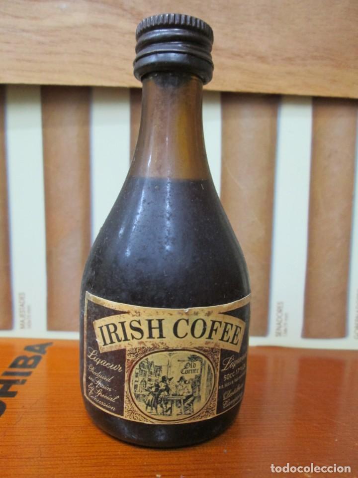 Collection of wines and liquors: ANTIGUO BOTELLIN, IRISH COFEE LIQUEUR