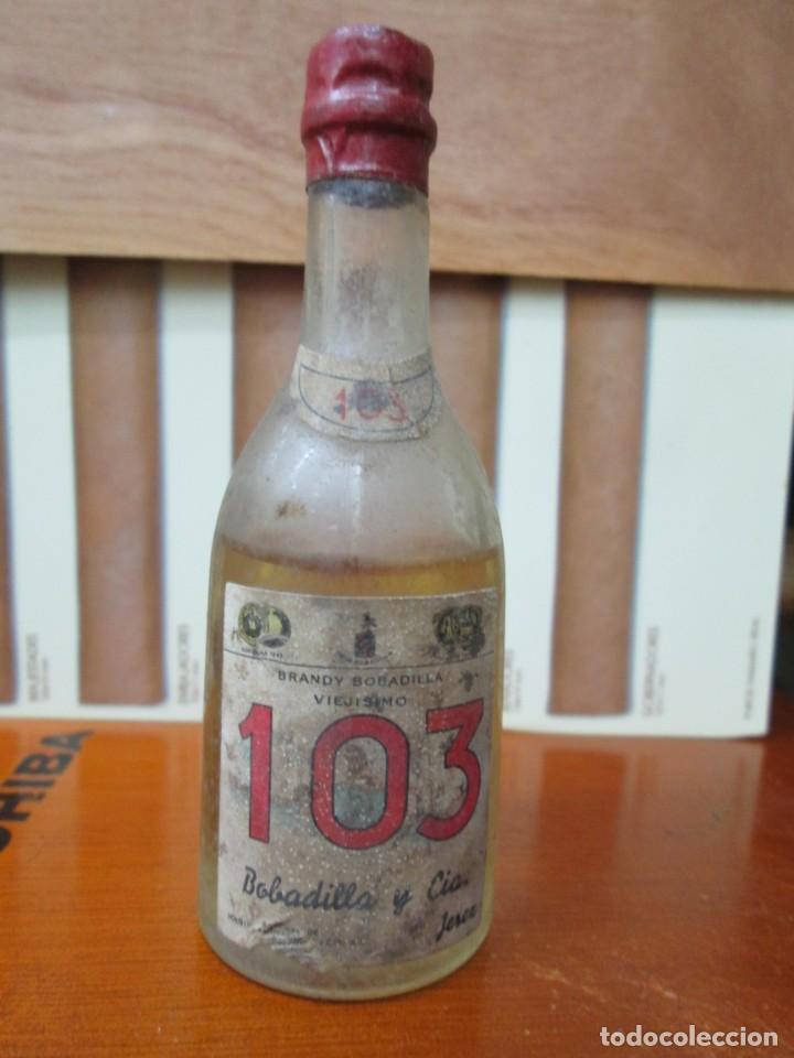 Sammlung von Weinen und Lik&ouml;ren: ANTIGUO BOTELLIN, 103 VIEJO DE BOBADILLA