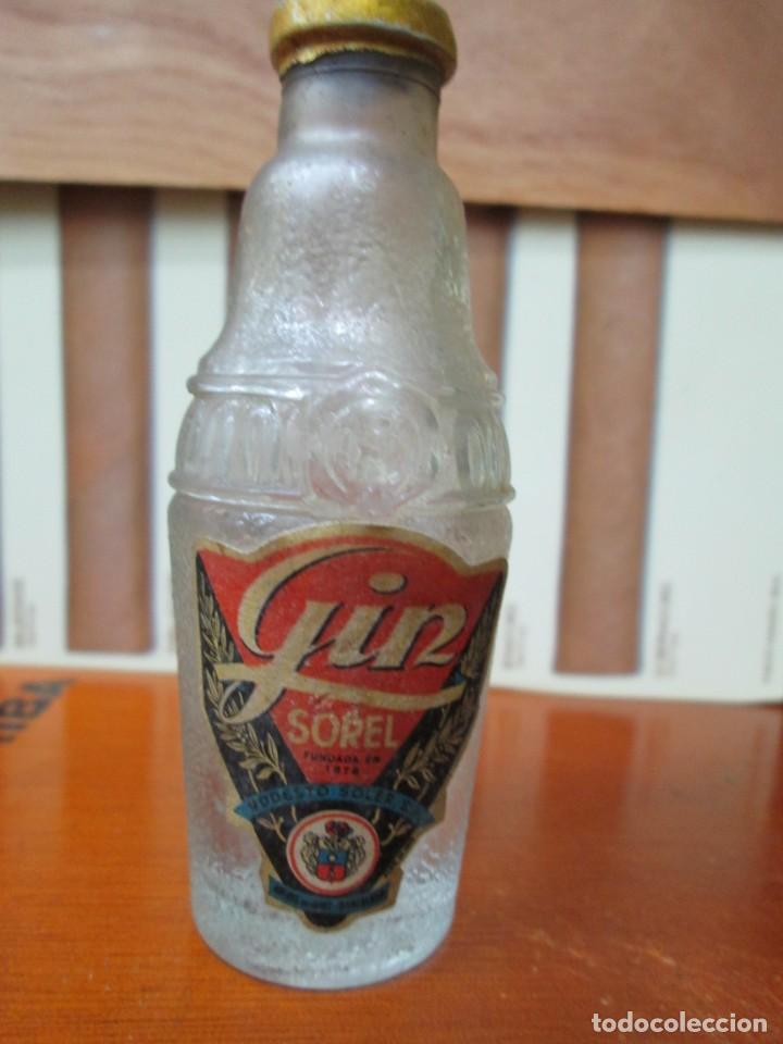 Sammlung von Weinen und Lik&ouml;ren: ANTIGUO BOTELLIN, GIN SOREL DE MODESTO SOREL
