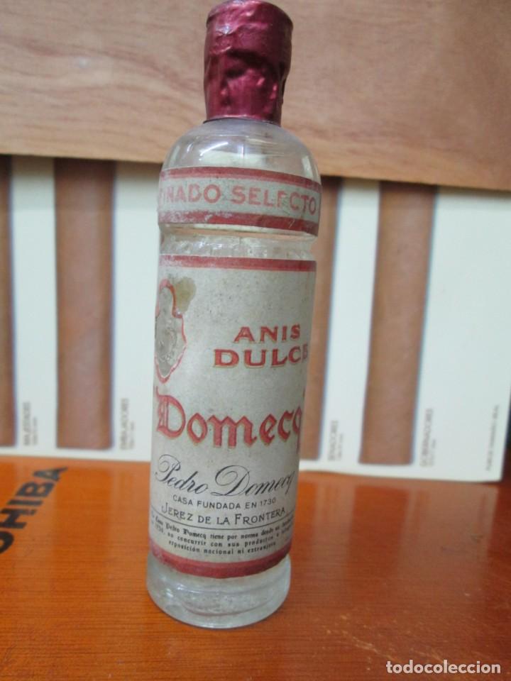 Collection of wines and liquors: ANTIGUO BOTELLIN,ANIS DULCE DOMECQ