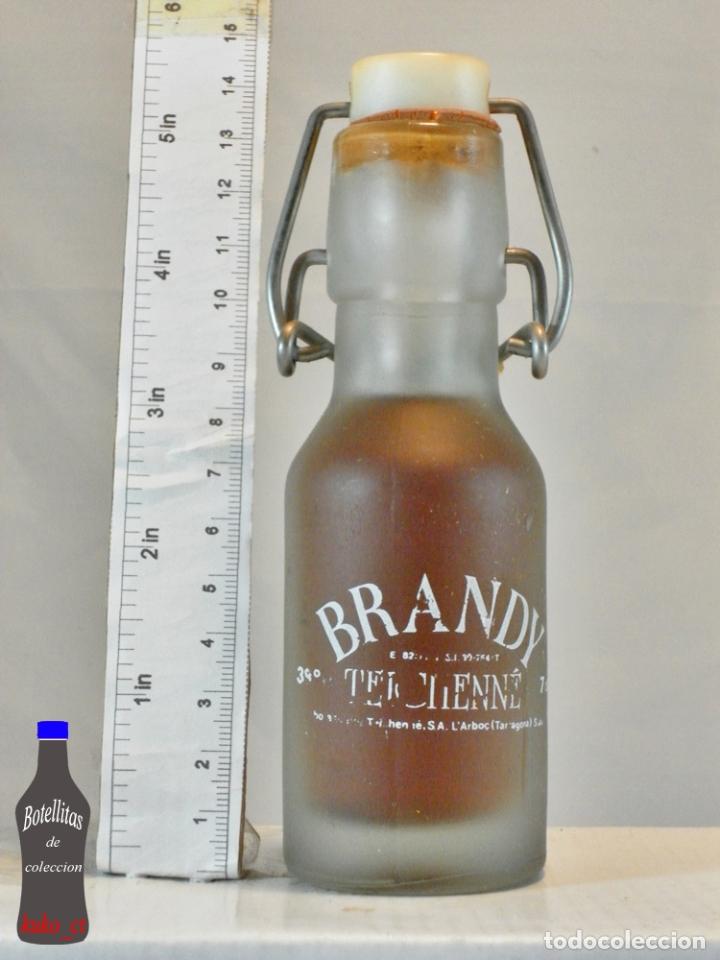Coleccionismo de vinos y licores: BOTELLITA BOTELLIN BRANDY TEICHENNE S.A. L&acute;ARBOC TARRAGONA