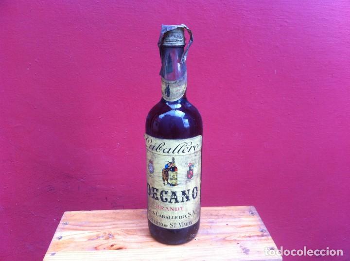 Sammlung von Weinen und Lik&ouml;ren: BOTELLA. BRANDY CABALLERO. DECANO. PUERTO DE SANTA MAR&Iacute;A. PRECINTO CUATRO PESETAS