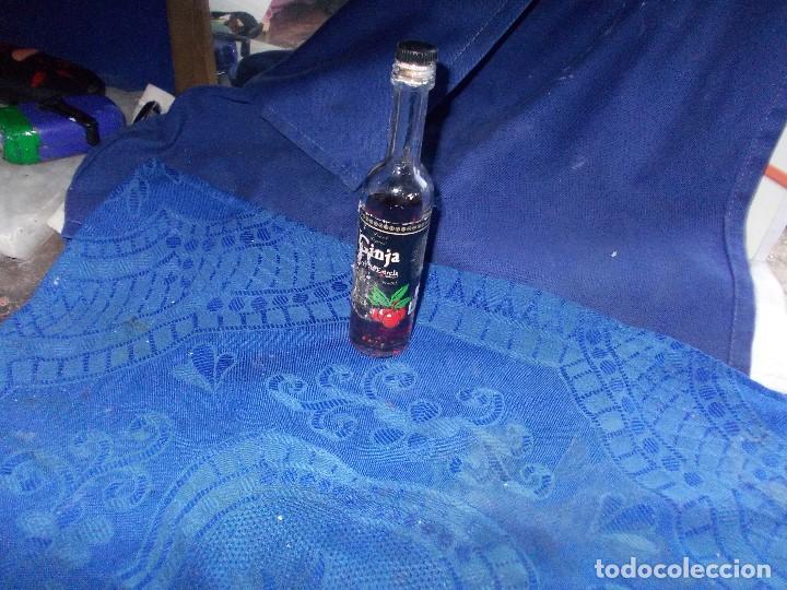 Coleccionismo de vinos y licores: botellita de licor de portugal