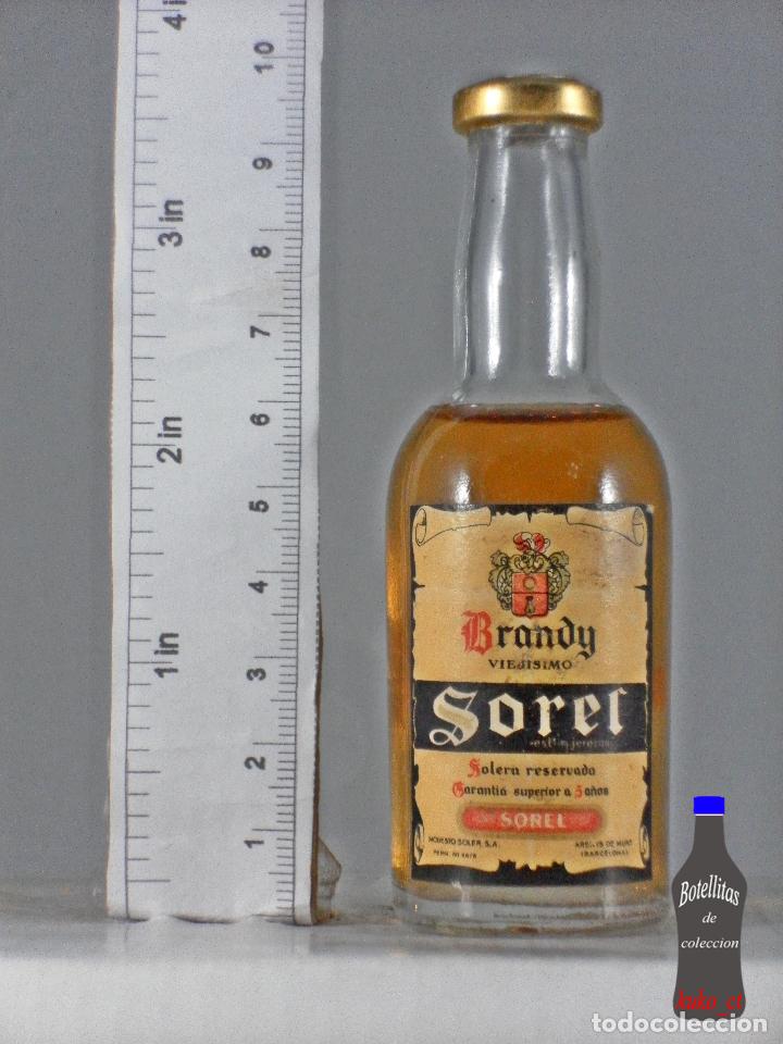 Coleccionismo de vinos y licores: BOTELLITA BOTELLIN BRANDY VIEJISIMO SOREL MODESTO SOLER LICORES SOREL ARENYS DE MUNT BARCELONA