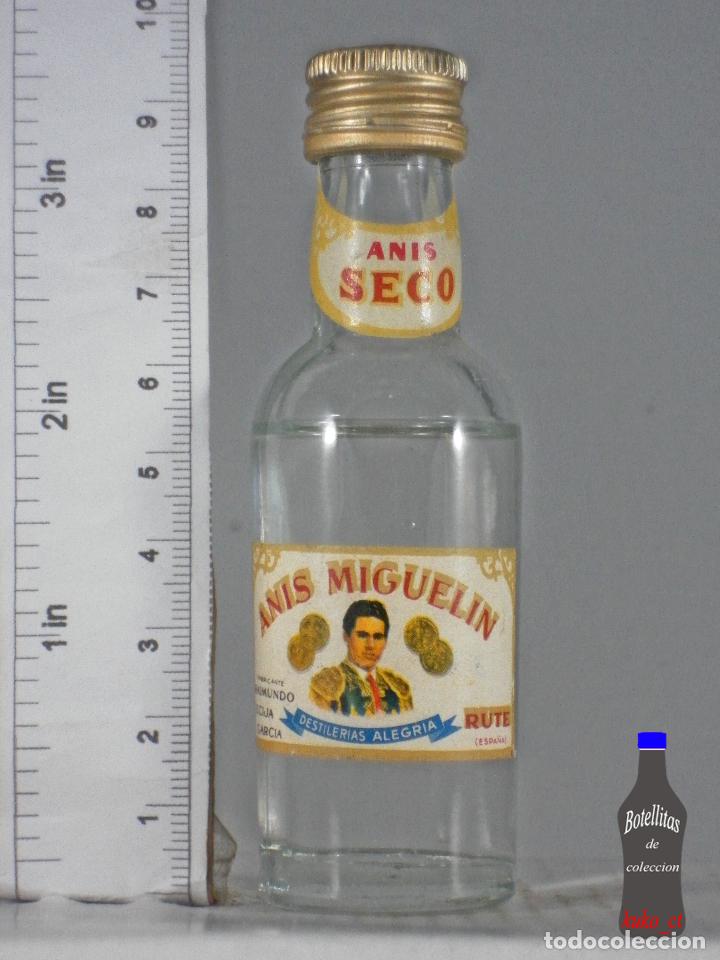 Sammlung von Weinen und Lik&ouml;ren: BOTELLITA BOTELLIN ANIS SECO MIGUELIN DESTILERIAS ALEGRIA RUTE CORDOBA