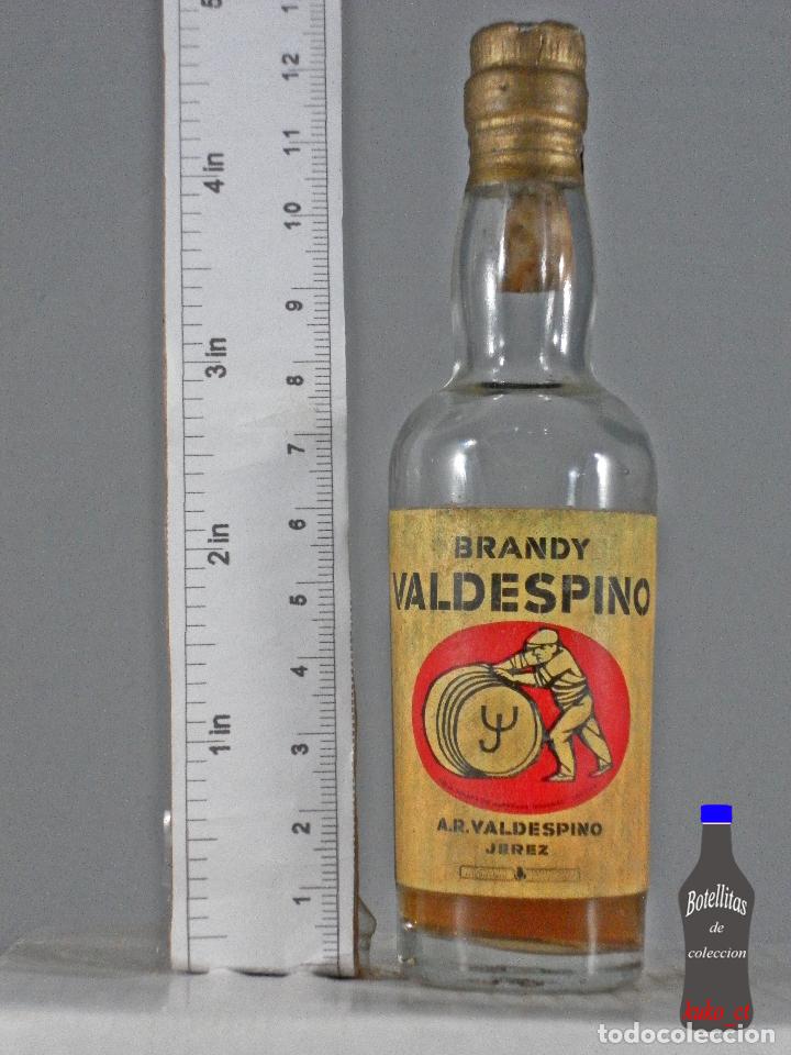 Coleccionismo de vinos y licores: BOTELLITA BOTELLIN BRANDY VALDESPINO A.R. VALDESPINO JEREZ DE LA FRONTERA