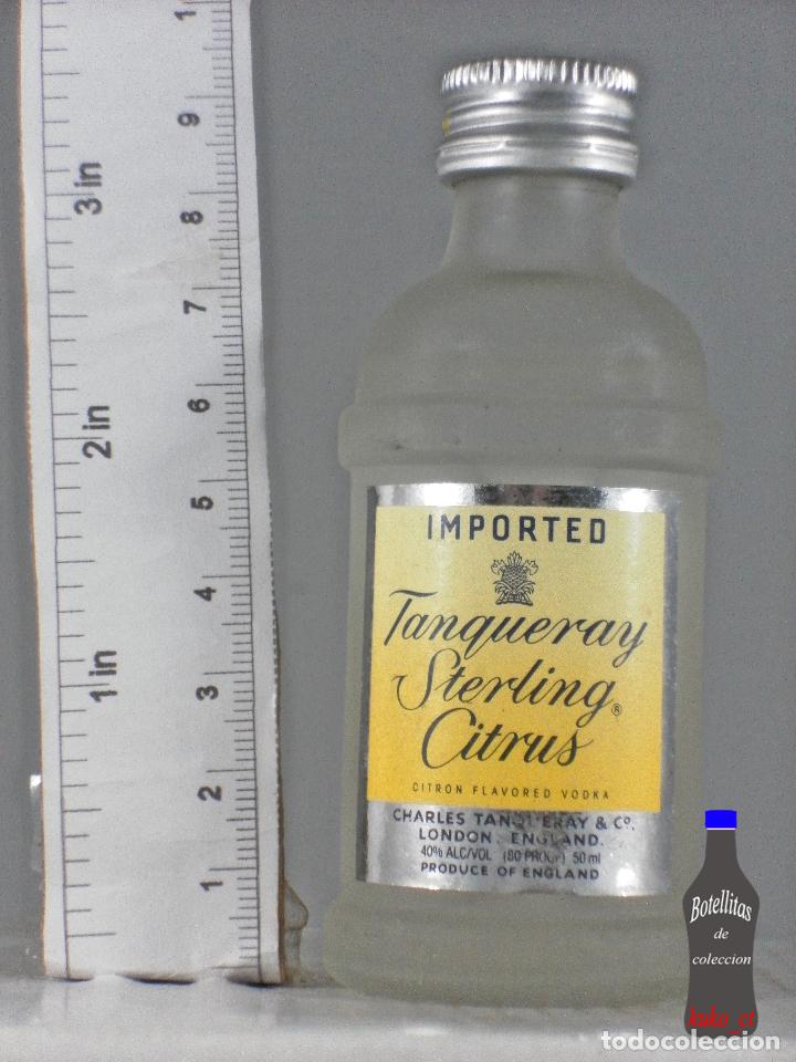 Sammlung von Weinen und Lik&ouml;ren: BOTELLITA BOTELLIN TANQUERAY STERLING CITRUS LONDON ENGLAND SOLE USA NEW YORK