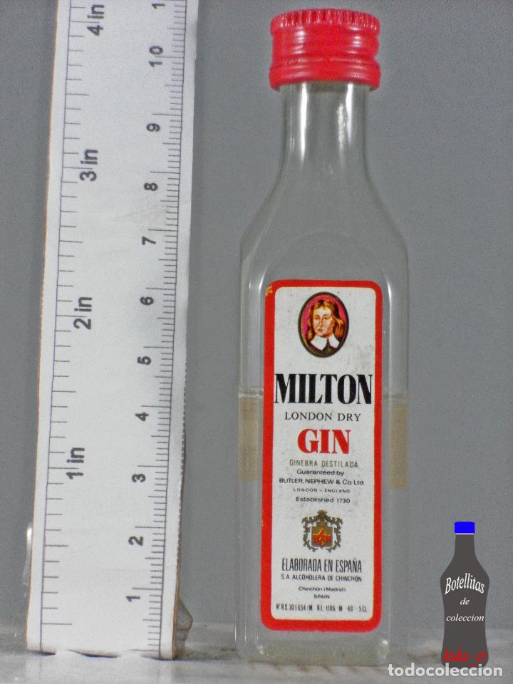 Sammlung von Weinen und Lik&ouml;ren: BOTELLITA BOTELLIN MILTON DRY GIN ALCOHOLERA DE CHINCHON