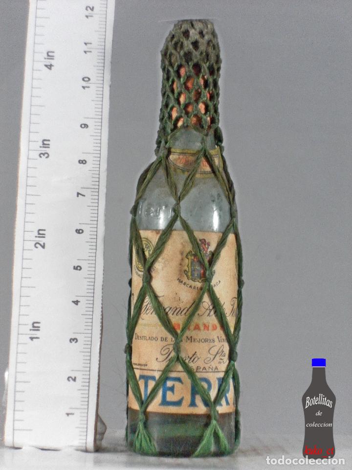 Coleccionismo de vinos y licores: BOTELLITA BOTELLIN TERRY COMPETIDOR BRANDY FERNANDO A. DE TERRY PUERTO DE SANTA MARIA
