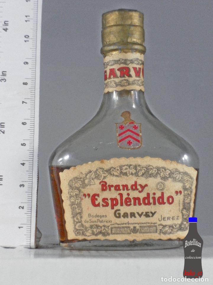 Coleccionismo de vinos y licores: BOTELLITA BOTELLIN PETACA BRANDY ESPLENDIDO BODEGAS SAN PATRICIO GARVEY JEREZ