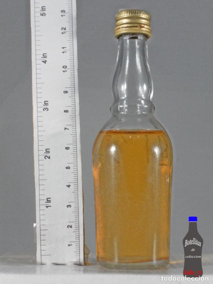 Colecionismo de vinhos e licores: BOTELLITA BOTELLIN DESTILERIAS MOREY SIN ETIQUETA